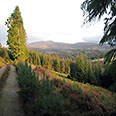 View Over Ballindalloch