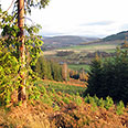 View Over Cragganmore